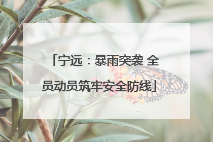宁远：暴雨突袭 全员动员筑牢安全防线
