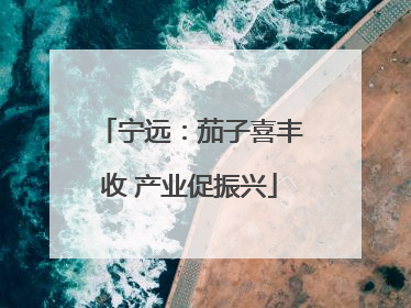 宁远：茄子喜丰收 产业促振兴