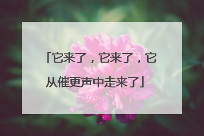 它来了，它来了，它从催更声中走来了