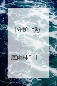 守护“海底雨林”