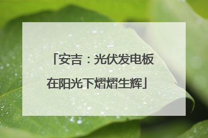 安吉：光伏发电板在阳光下熠熠生辉