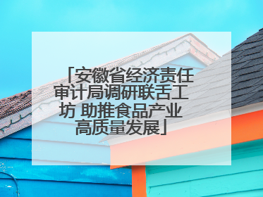 安徽省经济责任审计局调研联舌工坊 助推食品产业高质量发展