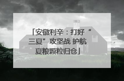 安徽利辛：打好“三夏”攻坚战 护航夏粮颗粒归仓