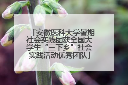 安徽医科大学暑期社会实践团获全国大学生“三下乡”社会实践活动优秀团队