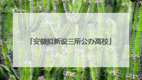 安徽拟新设三所公办高校