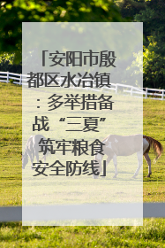 安阳市殷都区水冶镇：多举措备战“三夏” 筑牢粮食安全防线