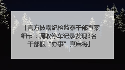 官方披露纪检监察干部查案细节：调取停车记录发现3名干部假“办事”真麻将