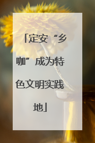 定安“乡咖”成为特色文明实践地