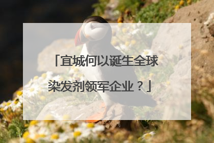宜城何以诞生全球染发剂领军企业？
