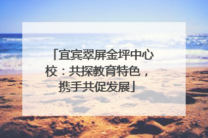 宜宾翠屏金坪中心校：共探教育特色，携手共促发展