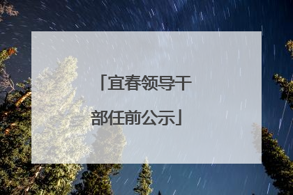 宜春领导干部任前公示