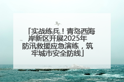 实战练兵！青岛西海岸新区开展2025年防汛救援应急演练，筑牢城市安全防线