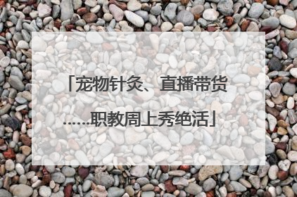 宠物针灸、直播带货……职教周上秀绝活