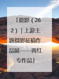 夏影（262）｜上游主题摄影征稿作品展——黄红专作品
