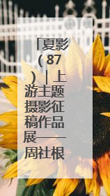 夏影（87）｜上游主题摄影征稿作品展——周社根作品