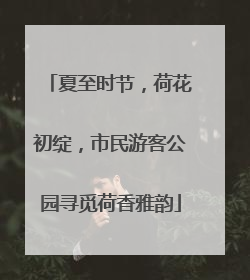 夏至时节，荷花初绽，市民游客公园寻觅荷香雅韵