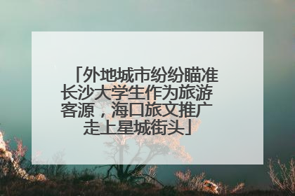 外地城市纷纷瞄准长沙大学生作为旅游客源，海口旅文推广走上星城街头