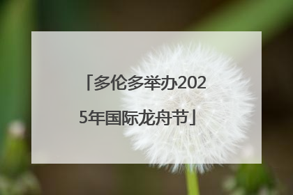 多伦多举办2025年国际龙舟节