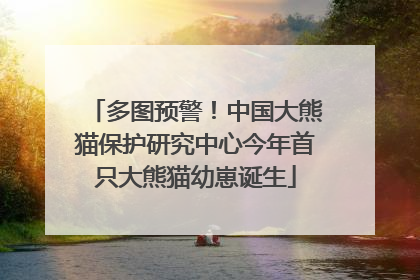 多图预警！中国大熊猫保护研究中心今年首只大熊猫幼崽诞生