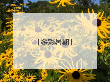 多彩暑期