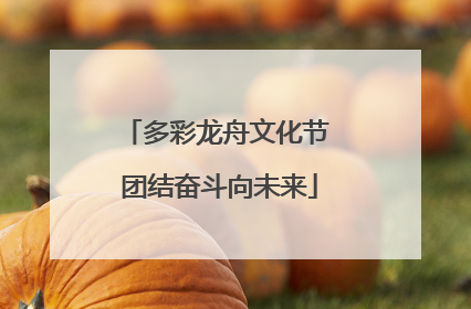 多彩龙舟文化节 团结奋斗向未来