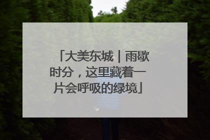 大美东城｜雨歇时分，这里藏着一片会呼吸的绿境