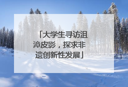 大学生寻访沮漳皮影，探求非遗创新性发展