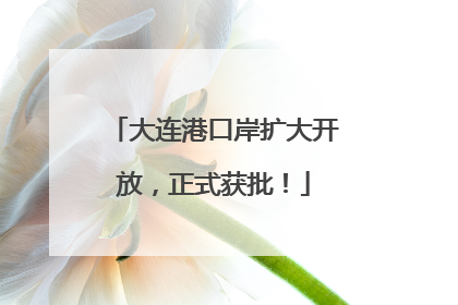大连港口岸扩大开放，正式获批！
