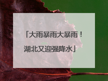 大雨暴雨大暴雨！湖北又迎强降水