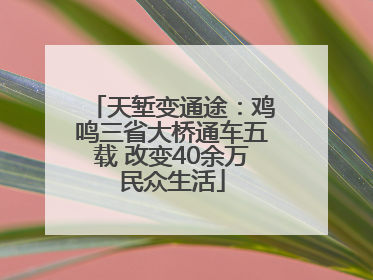 天堑变通途：鸡鸣三省大桥通车五载 改变40余万民众生活