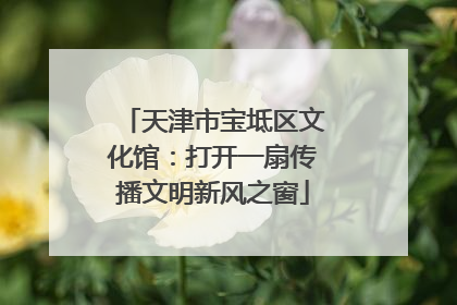 天津市宝坻区文化馆：打开一扇传播文明新风之窗