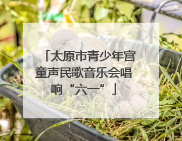 太原市青少年宫童声民歌音乐会唱响“六一”