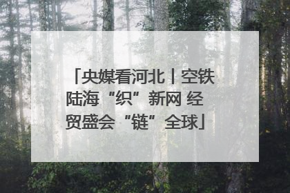 央媒看河北丨空铁陆海“织”新网 经贸盛会“链”全球
