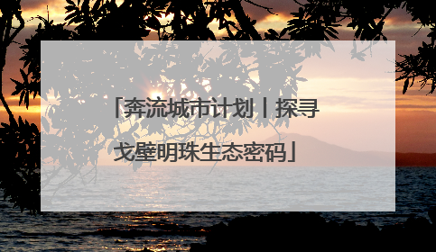 奔流城市计划丨探寻戈壁明珠生态密码