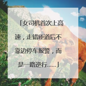 女司机首次上高速，走错匝道后不靠边停车报警，而是一路逆行……