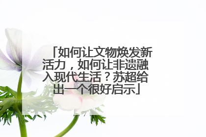 如何让文物焕发新活力，如何让非遗融入现代生活？苏超给出一个很好启示