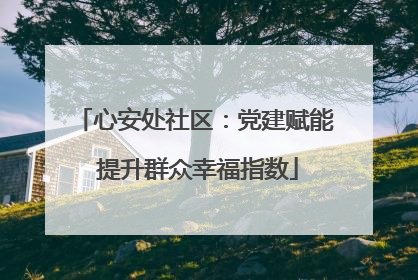 心安处社区：党建赋能 提升群众幸福指数