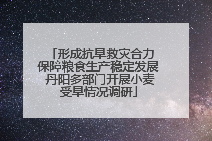 形成抗旱救灾合力 保障粮食生产稳定发展 丹阳多部门开展小麦受旱情况调研