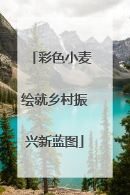 彩色小麦绘就乡村振兴新蓝图