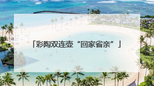 彩陶双连壶“回家省亲”