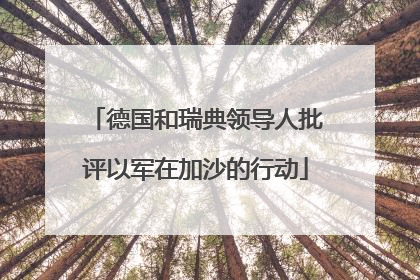 德国和瑞典领导人批评以军在加沙的行动