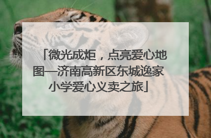 微光成炬，点亮爱心地图—济南高新区东城逸家小学爱心义卖之旅
