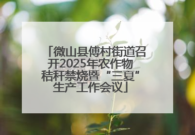 微山县傅村街道召开2025年农作物秸秆禁烧暨“三夏”生产工作会议