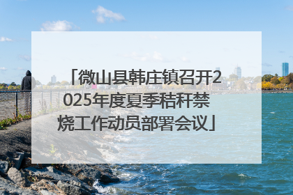 微山县韩庄镇召开2025年度夏季秸秆禁烧工作动员部署会议