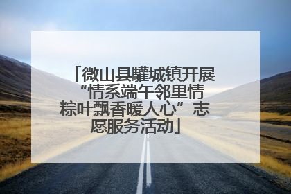 微山县驩城镇开展“情系端午邻里情 粽叶飘香暖人心”志愿服务活动