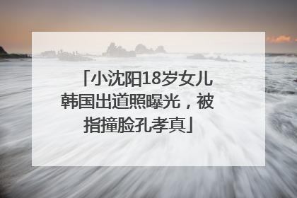 小沈阳18岁女儿韩国出道照曝光，被指撞脸孔孝真