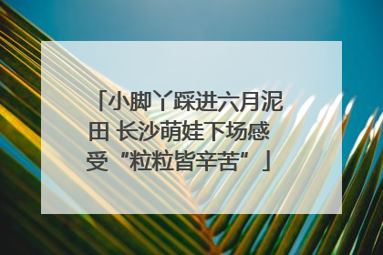 小脚丫踩进六月泥田 长沙萌娃下场感受“粒粒皆辛苦”