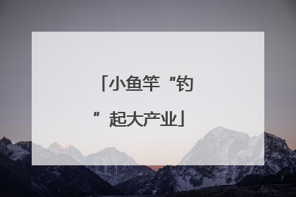 小鱼竿“钓”起大产业