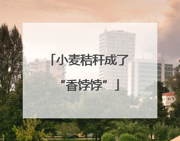 小麦秸秆成了“香饽饽”