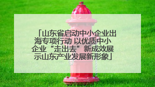 山东省启动中小企业出海专项行动 以优质中小企业“走出去”新成效展示山东产业发展新形象